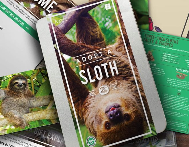 Adopt a Real Sloth - Gift Set - Brilliant Childrens Presents