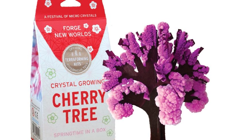 Cherry Tree all