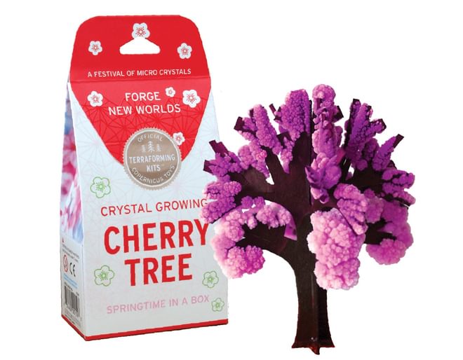 Cherry Tree all