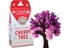 Cherry Tree all