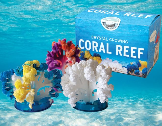 Coral Reef all