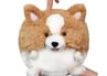 Corgi Cushion