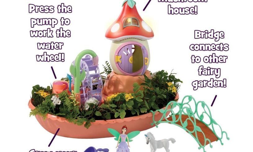 Fairy Garden box