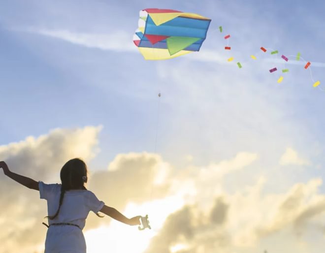 Pocket Kite In A Bag