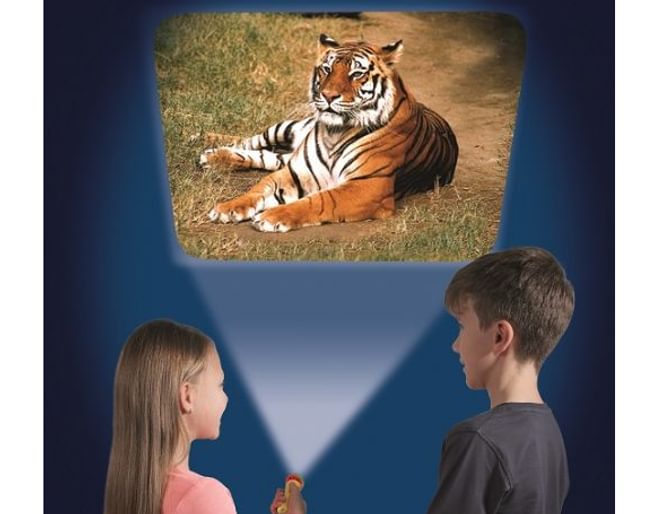 Animal Torch and Projector