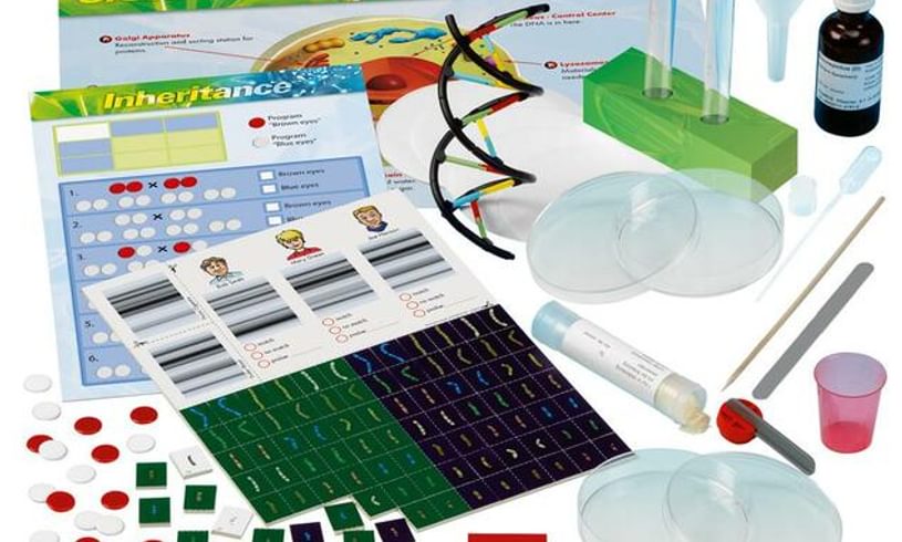 Genetics and DNA Experiment Booklet