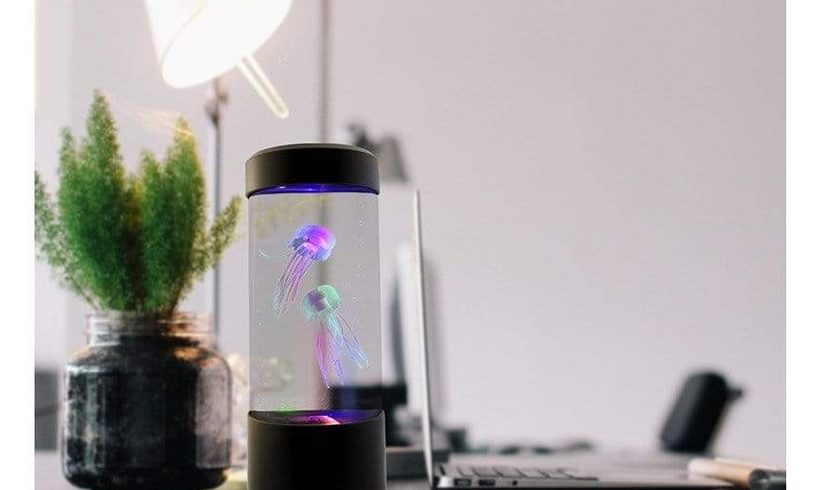 Jellyfish Lamp Lit Up