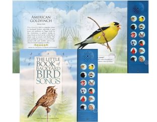 Book of Backyard Bird Songs Cover