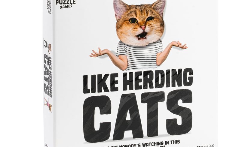 Like herding cats game from professor puzzle