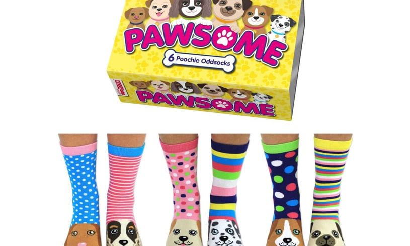 PAWSOME SOCKS CUTE SET FOR GIRLS