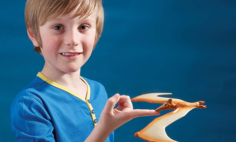 Brainstorm The Amazing Balancing Pteranodon