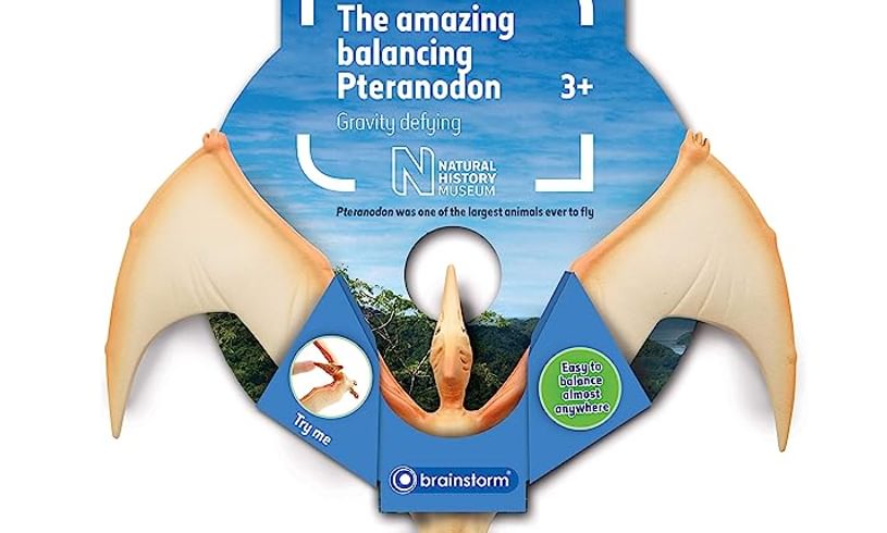 Amazing Balancing Pteranodon