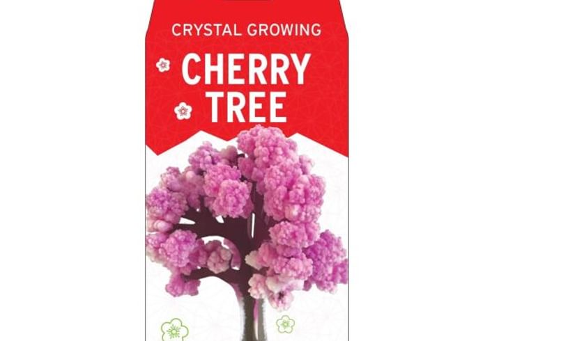 Cherry Tree box complete