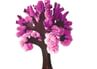 Cherry Tree