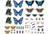Butterfly Tattoos