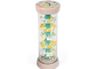 Rain Stick