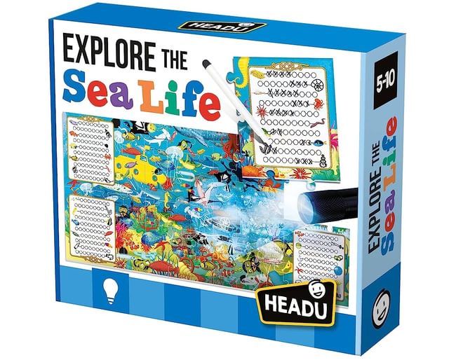 Explore The Sea Life