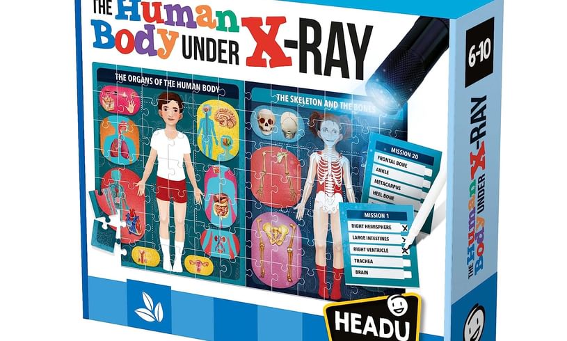The Human Body Under X-Ray