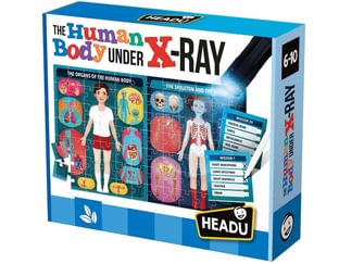 The Human Body Under X-Ray