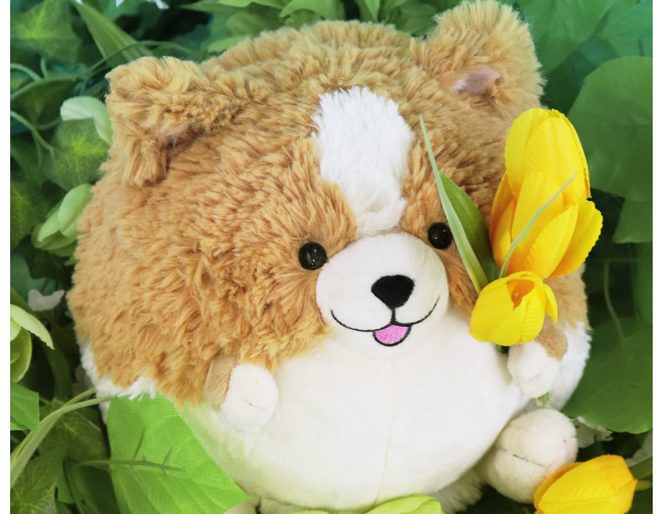 Squishables corgi shop