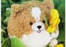 Corgi Squishable Cushion