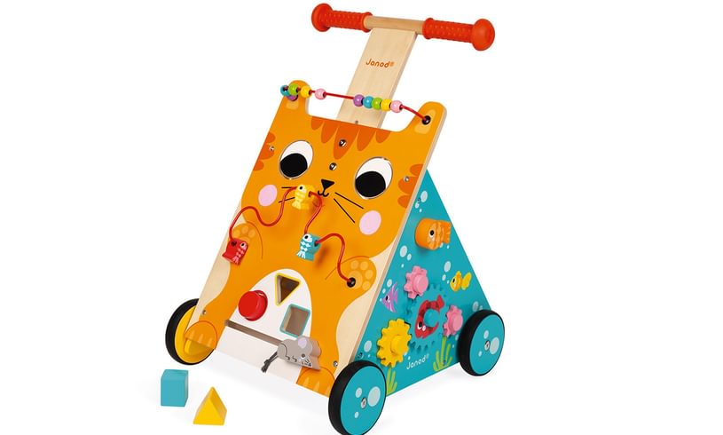 Cat Baby Walker