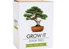 Grow It Bonsai Trees