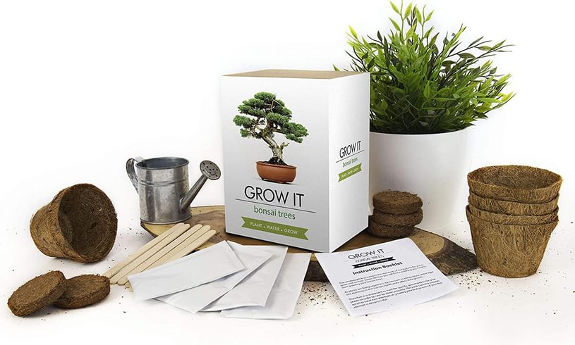 Grow It Bonsai Trees Contents