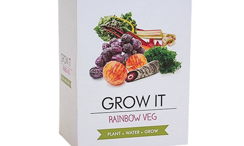 Rainbow Vegetable Growing Kit