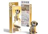 Make Your Own Meerkats Eugy