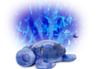 Tranquil Turtle Aqua