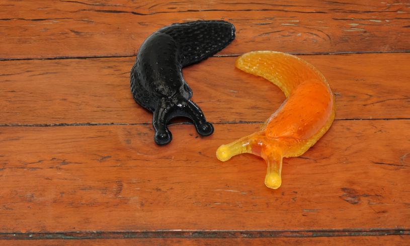 Toy Slimy Sticky Slugs