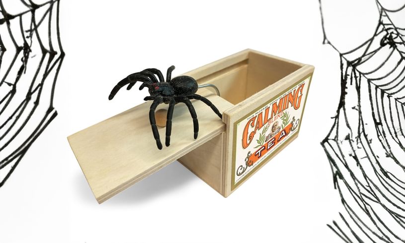 House of Marbles Spider Surprise