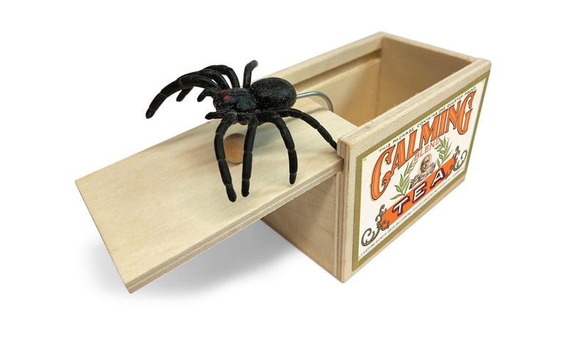 Spider Surprise Toy