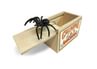 Spider Surprise Toy