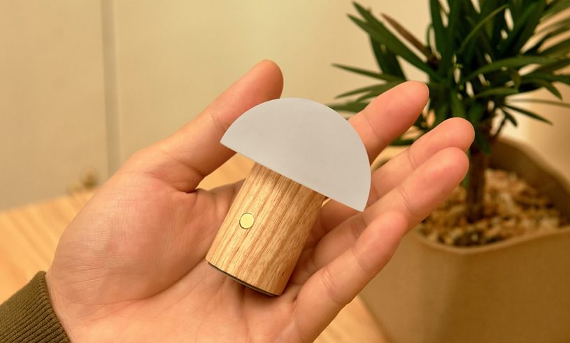 Mini Mushroom Light