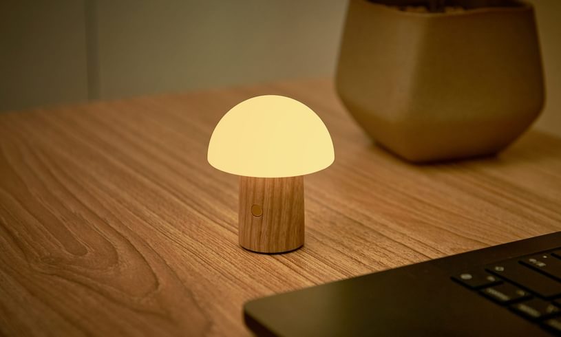 Light Up Mushroom Lamp