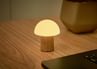 Light Up Mushroom Lamp