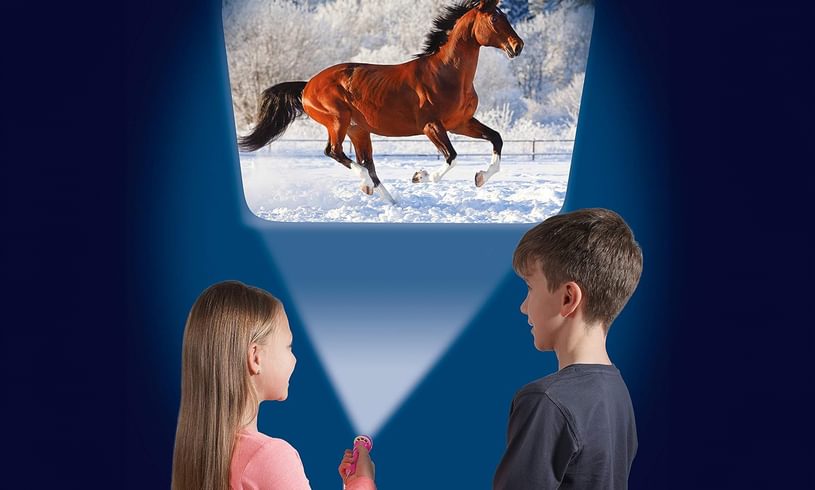 Horse Torch & Projector