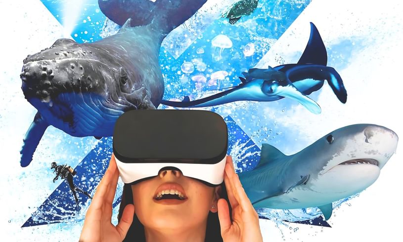 Let's Explore Oceans VR