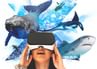 Let's Explore Oceans VR