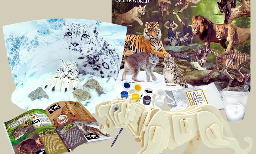 Extreme Big Cats Of The World