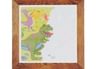 Bertoy Magic Painting World Dinosaurs