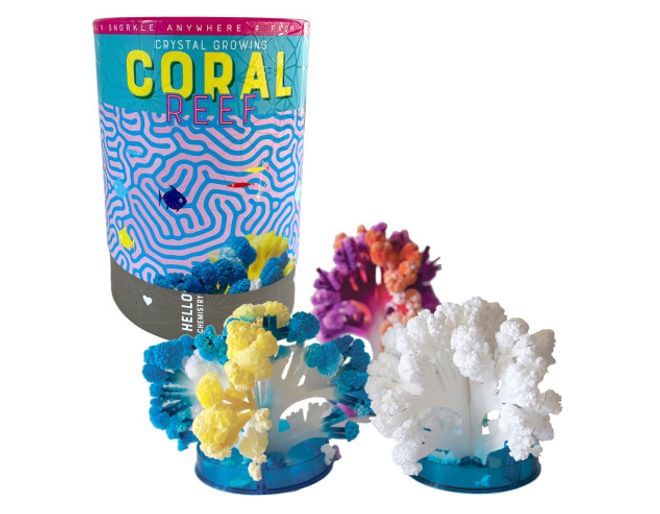Coral Reef all