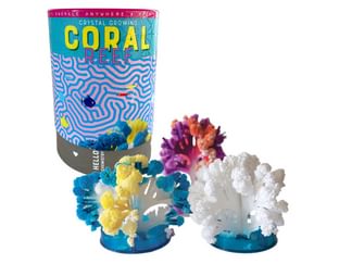 Coral Reef all